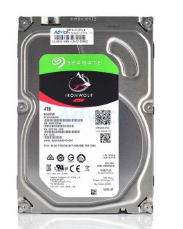 4 TB SATA-III Seagate IronWolf (64MB, 5900RPM, Synnex)